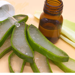 Aloe Vera Oil