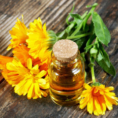 Calendula Oil