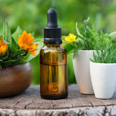 Calendula Oil