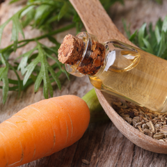 Carrot Tissue Oil