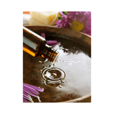 Bouncy Baby  Fragrance Oils