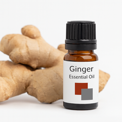 Ginger Essential Oil