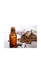 Clove Essential Oil