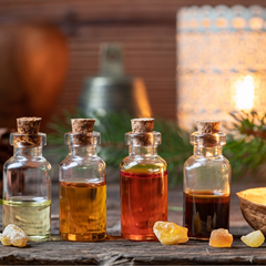 Cinnamon Leaf Escentia (11ml)