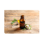 Fruits & Lillies Fragrance