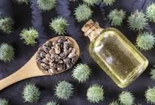 Indian Black Castor Oil