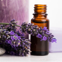 Lavender Essential Oil