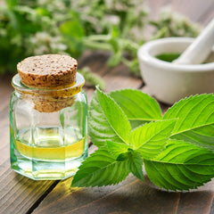 Mint Essential Oil