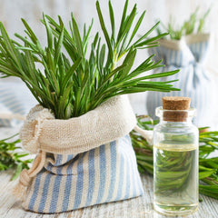 Rosemary Essential Oil
