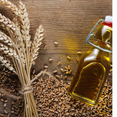 Wheatgerm Oil