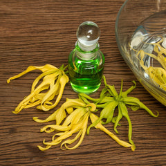 Ylang Ylang Essential Oil