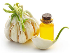 Garlic Escentia (11ml)