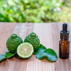 Lime Escentia (11ml)