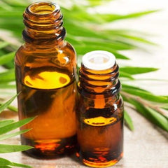 Tea Tree Escentia (10ml - Repacked)