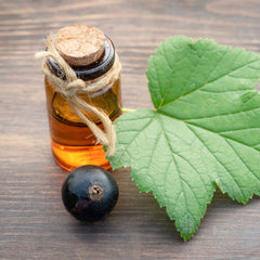 BlackBerry oil