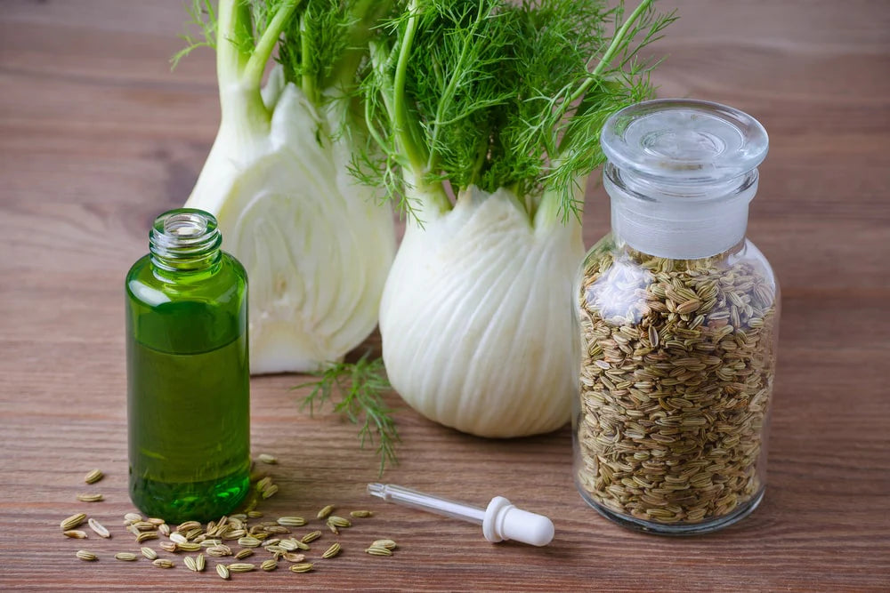 Fennel (sweet) 11ml