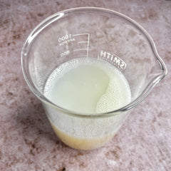 AquaStyle SH-100 Polymer