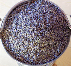 Lavender Buds