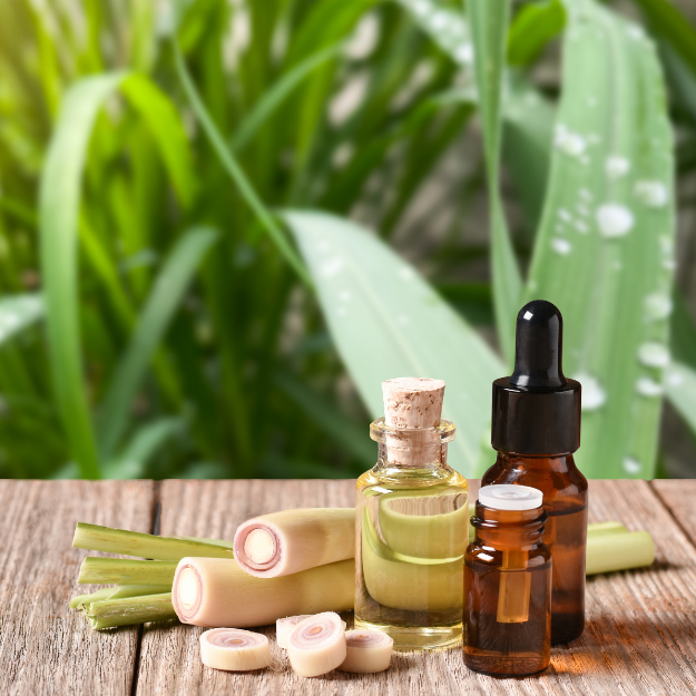 Lemongrass Escentia (10ml Repacked)
