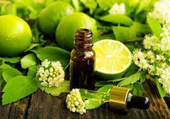 Lime Freshness