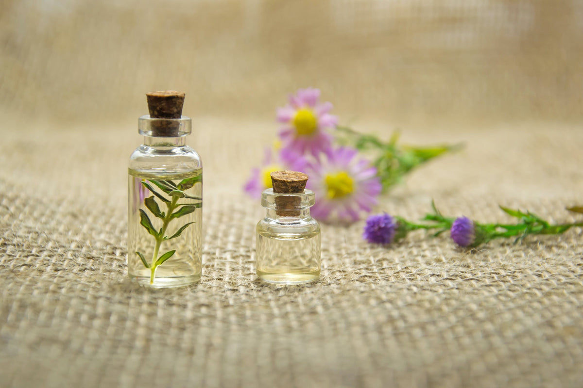 Wild Flower