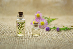 Wild Flower