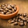African Black Castor Oil